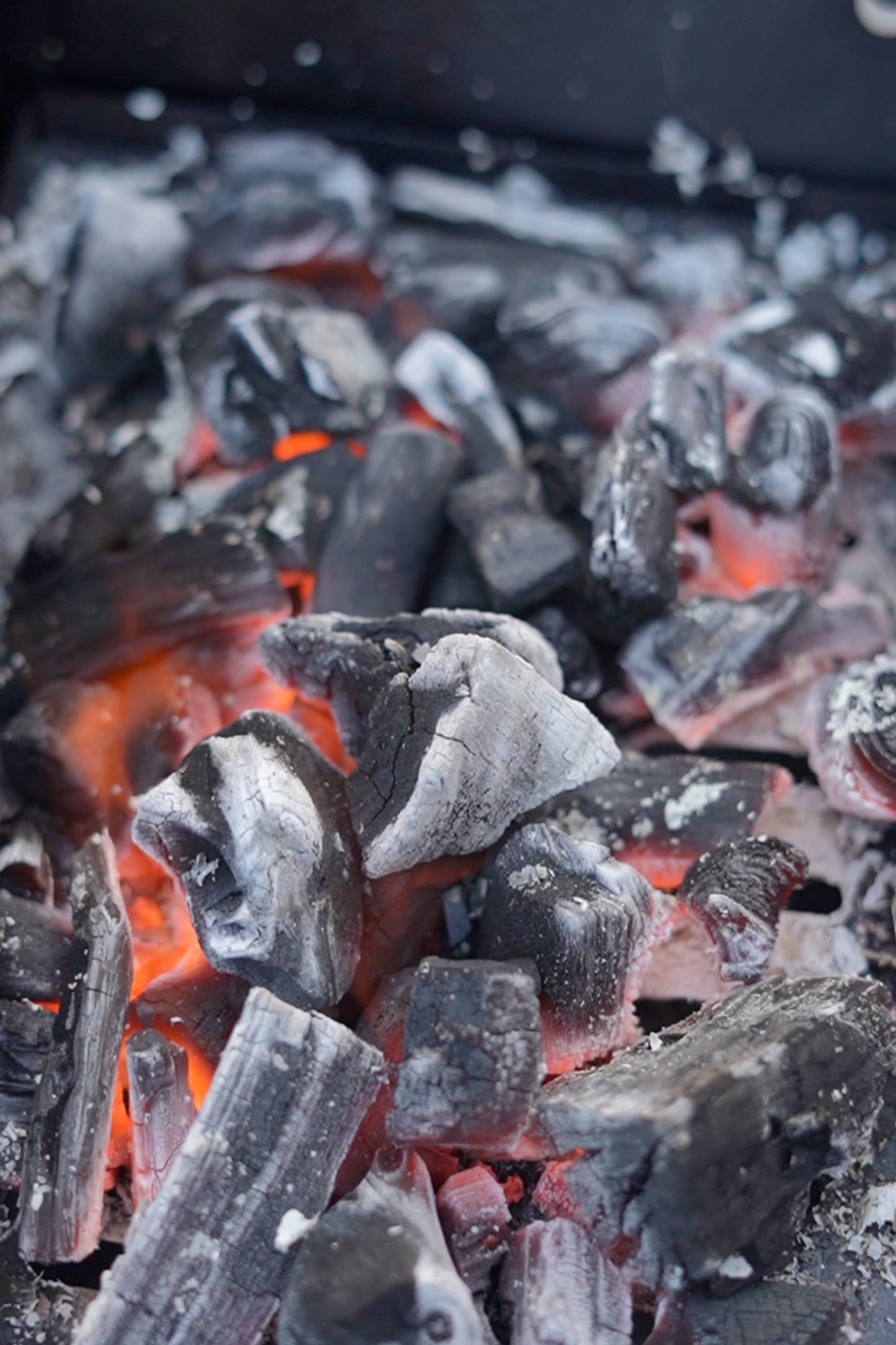 Go Blaze - Instant Lighting Lumpwood Charcoal Bags